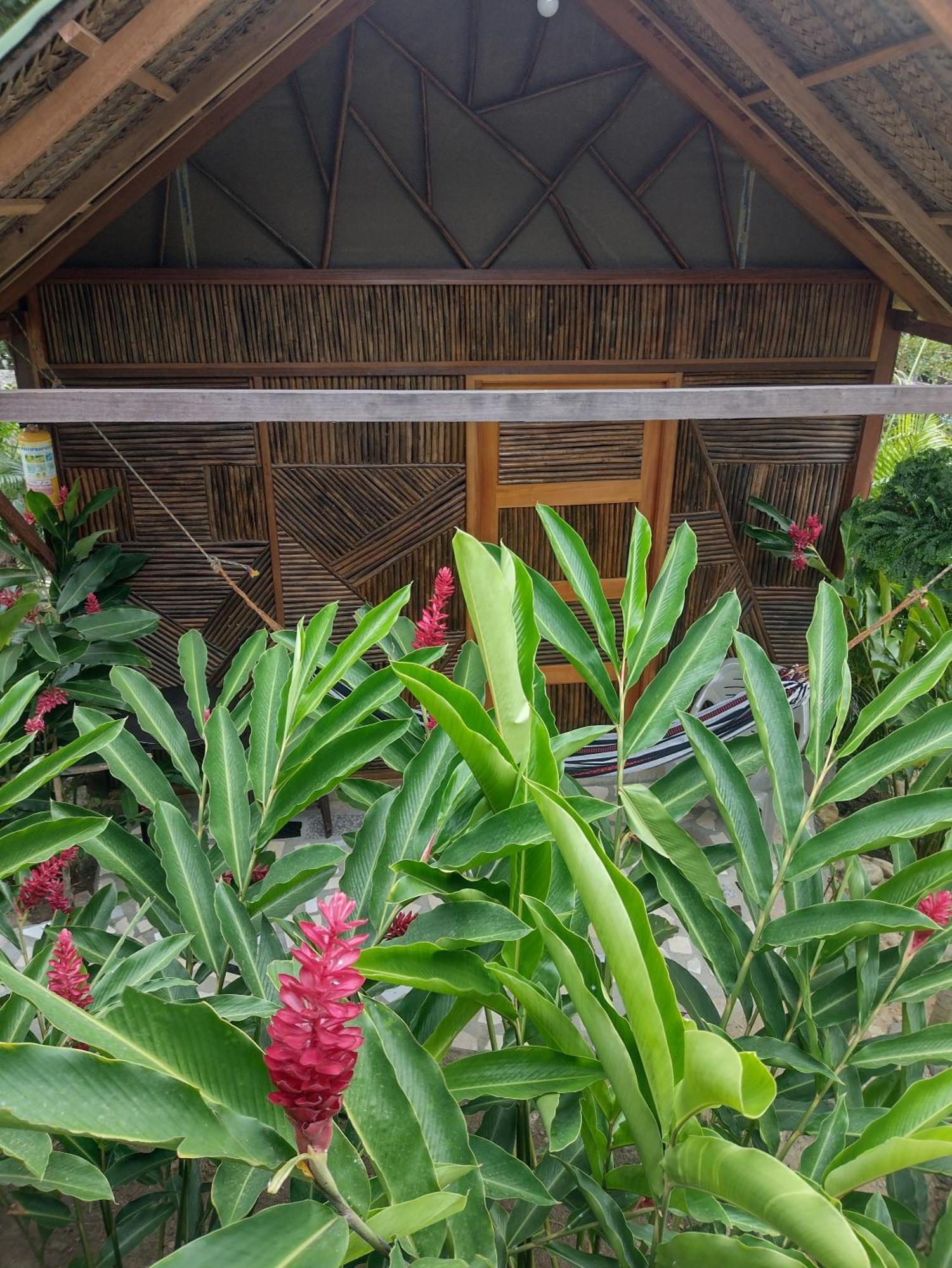 Villa Casa Kumake Tayrona El Zaino Exterior foto
