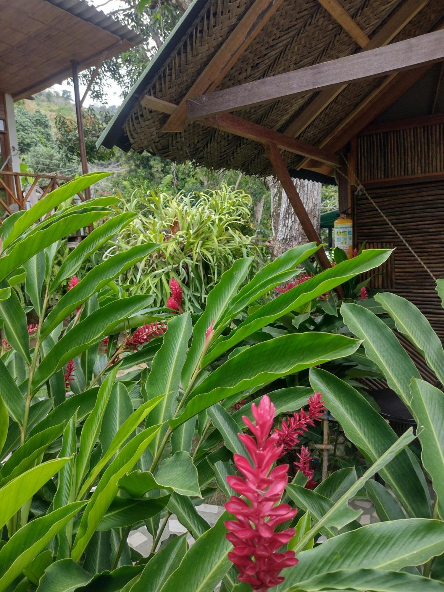 Villa Casa Kumake Tayrona El Zaino Exterior foto